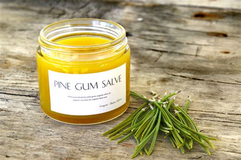 This mixture is essentially a pine salve, which is a traditional antibacterial ointment (and survivalist favourite), so use any leftover on your hands and . . Pine gum salve